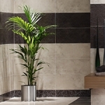 Removing A Stain Left By A Potted Plant