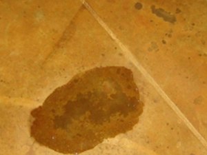 So You've Got a Stain... or Do You?