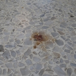 How To Remove A Terrazzo Stain