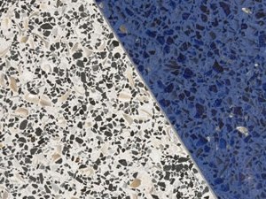 Beautiful Terrazzo